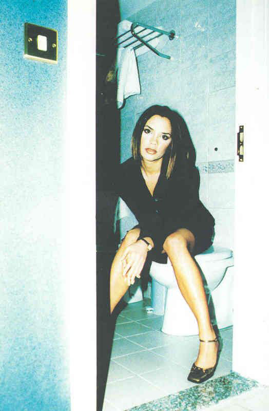 victoria beckham toilet