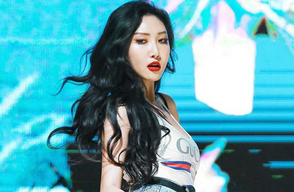 hwasa-fart